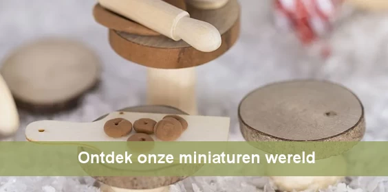 Ontdek onze miniaturenwereld. Koop de leukste miniaturen voor poppenhuizen letterbakken en meer bij creaknutselen.nl