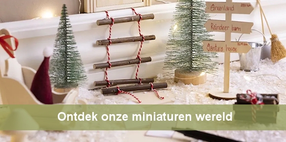 Ontdek onze miniaturenwereld. Koop de leukste miniaturen voor poppenhuizen letterbakken en meer bij creaknutselen.nl